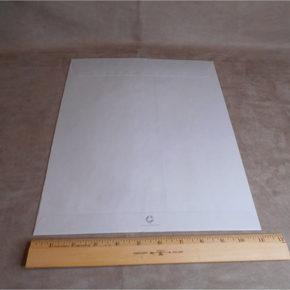 Lion King 1995  Envelope Only Disney Commemorative Lithograph - Picture 3 of 3